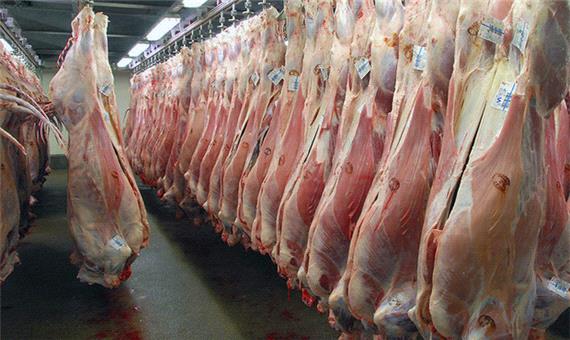 افزايش واردات و توزيع گوشت استراليايي/قيمت گوشت ترمز کشيد!