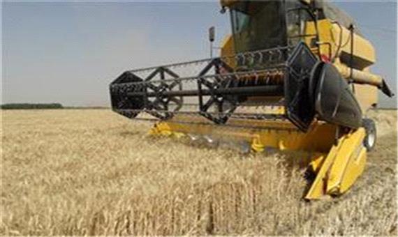 بیش از 71 هزار تن گندم از كشاورزان مناطق گرمسیری خریداری شده است