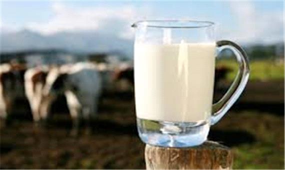 گرانی نهاده‌های دامی و افزایش بی‌رویه شیر خام