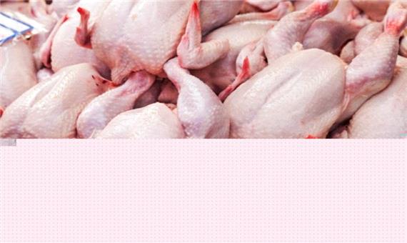 30 هزارتن مرغ گرم تنظیم بازاری از هفته آینده عرضه می شود