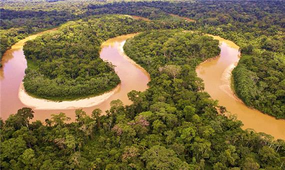 چرا هیچ پلی روی رود آمازون ساخته نشده است؟