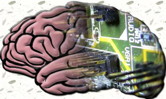 محققان الگوریتمی با قابلیت شبیه‌سازی مغز انسان توسعه دادند