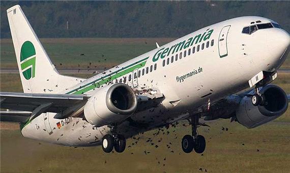 آیا برخورد پرندگان باعث سقوط هواپیما می‌شود؟